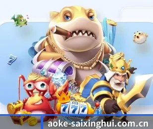 aoke-saixinghui.com.cn的故事 - 体育资讯内容服务