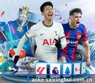 aoke-saixinghui.com.cn APP 界面