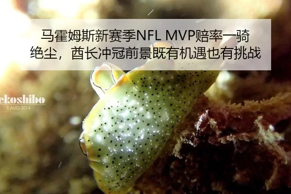 马霍姆斯新赛季NFL MVP赔率一骑绝尘，酋长冲冠前景既有机遇也有挑战