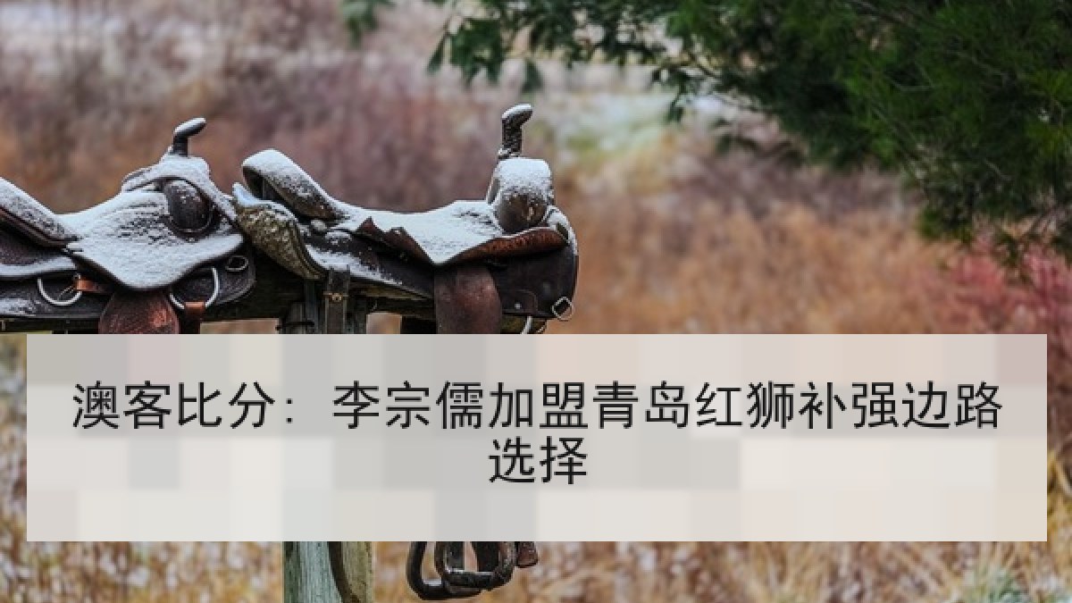 澳客比分: 李宗儒加盟青岛红狮补强边路选择